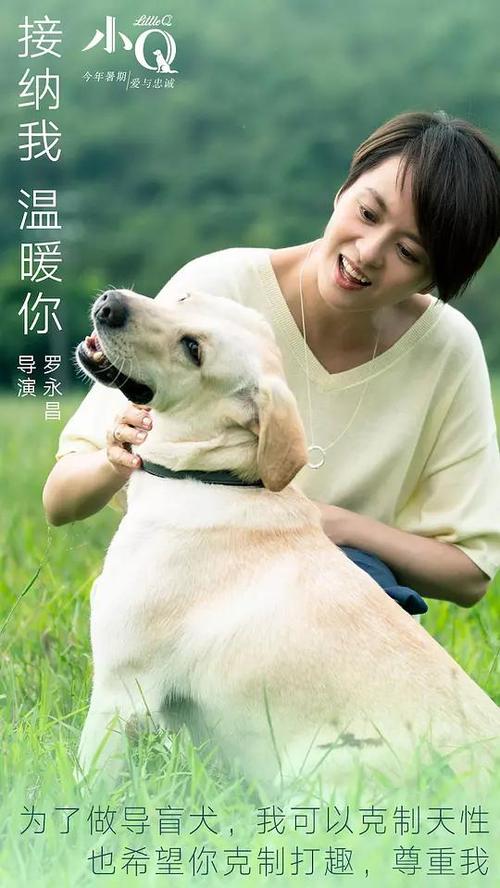 九州情報大学 Science and technology diploma